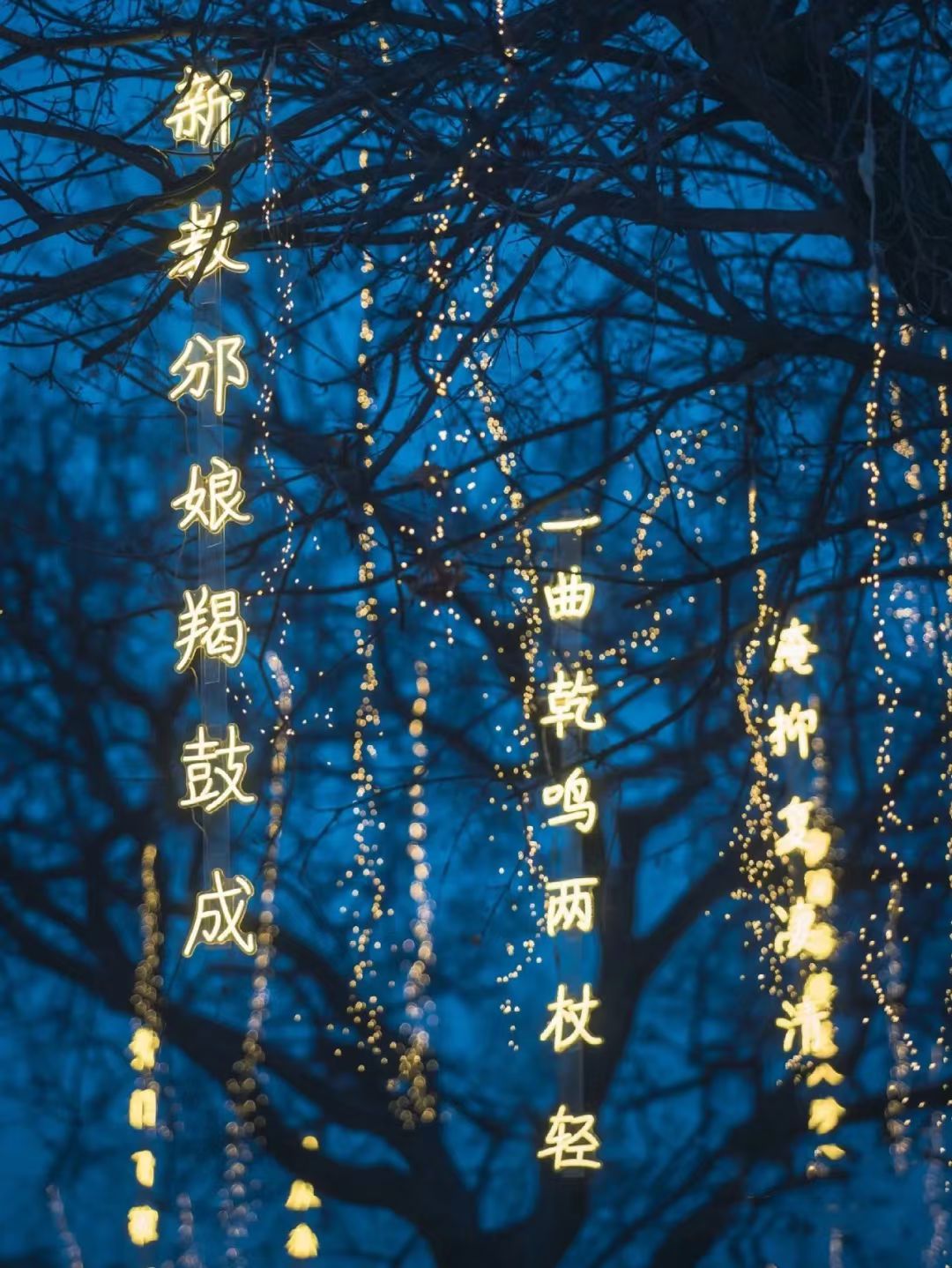 贵阳美陈公司，贵阳灯饰画制作安装，贵州户外景观亮化公司，户外景观亮化施工安装团队